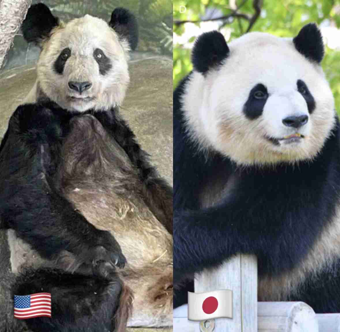 中国大使館Xが友好的な投稿「日本の皆さんの温かい心遣いに感謝」驚きの声