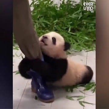 中国大使館Xが友好的な投稿「日本の皆さんの温かい心遣いに感謝」驚きの声