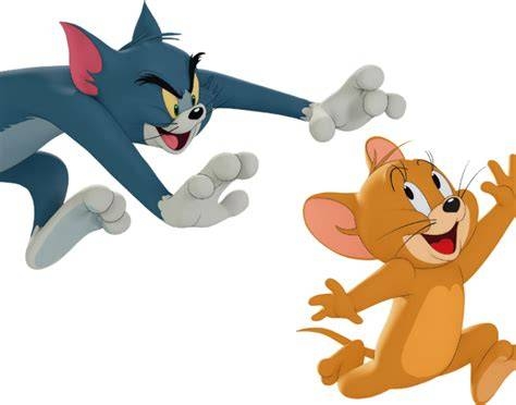 ハムスターと猫の同居