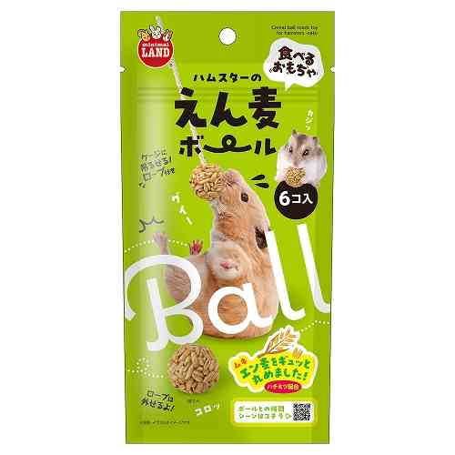 ハムスターのオヤツ🐹