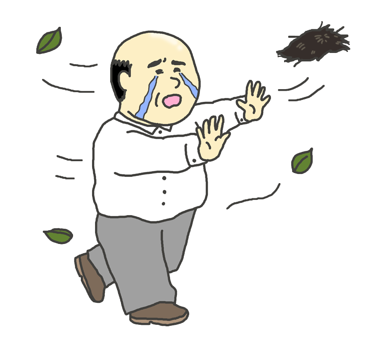 強風で近所の物が飛んでくる