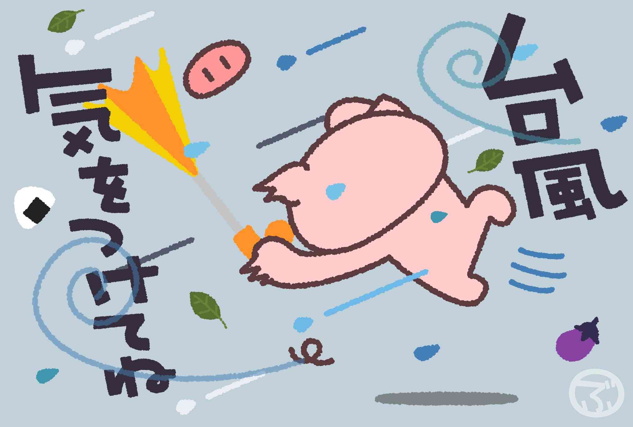 強風で近所の物が飛んでくる