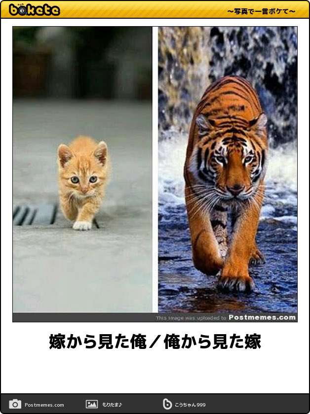 イメチェン成功した方