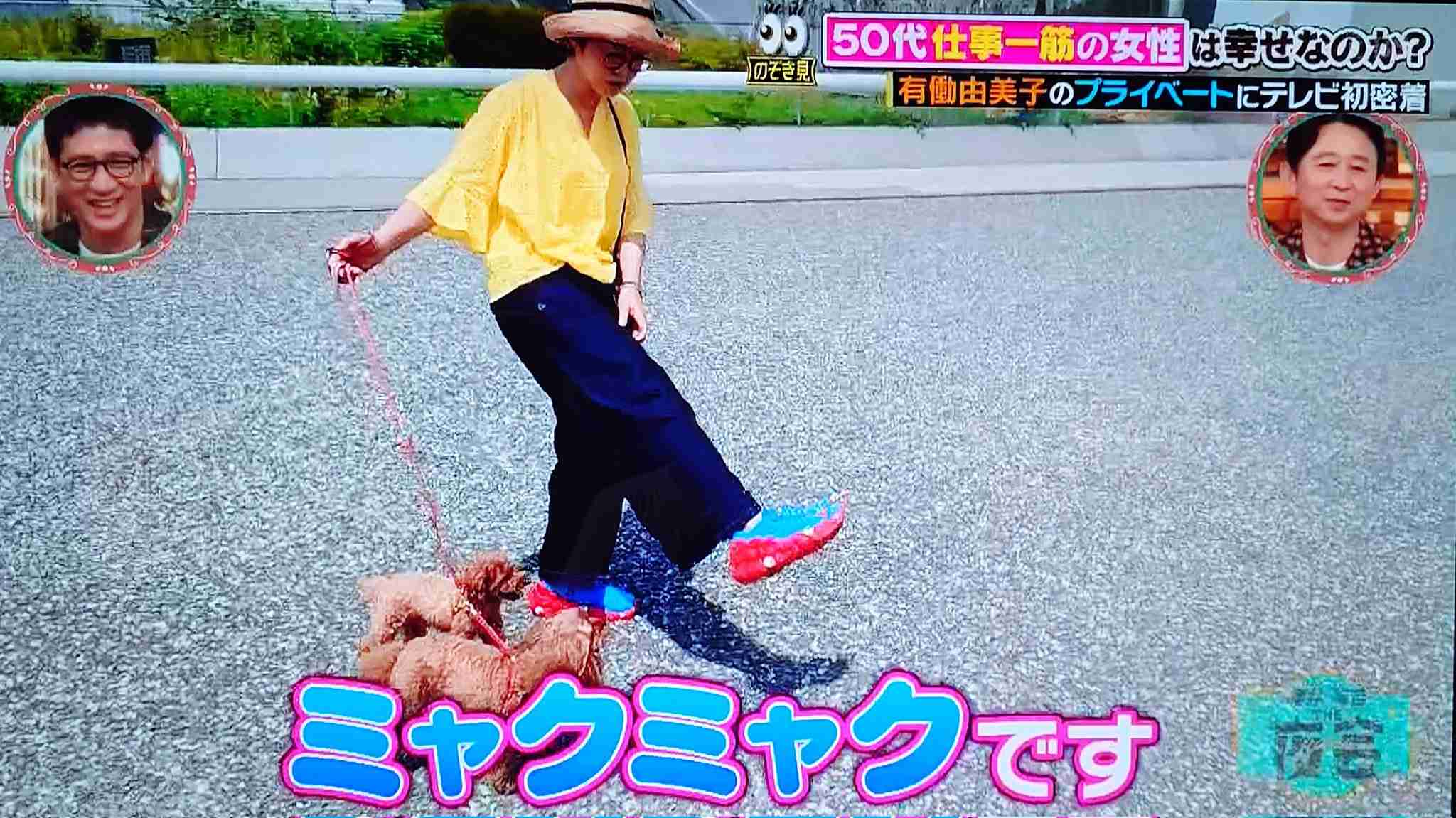 ミャク活してる人！集まれ〜