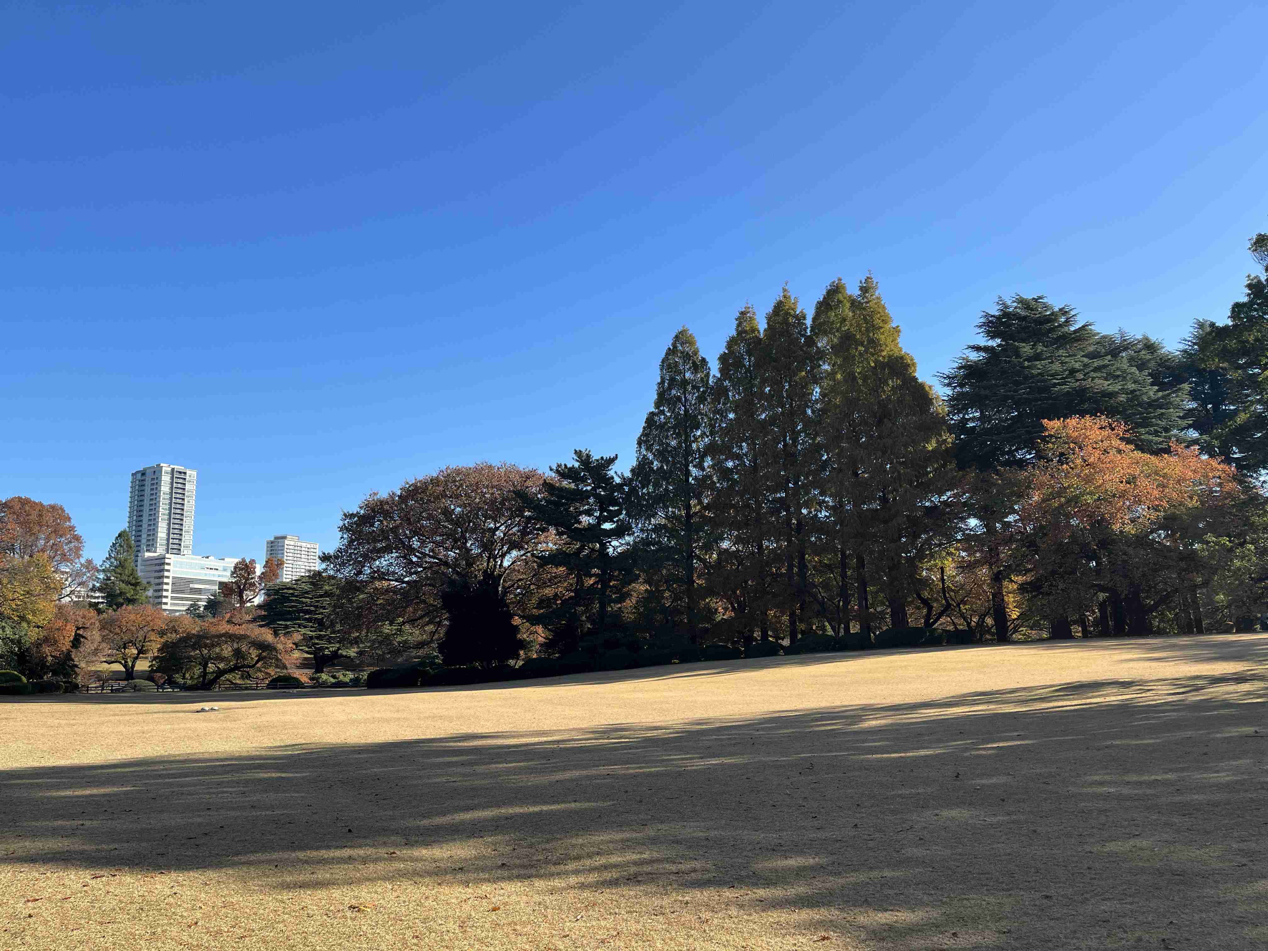 都心でお金のかからないデート