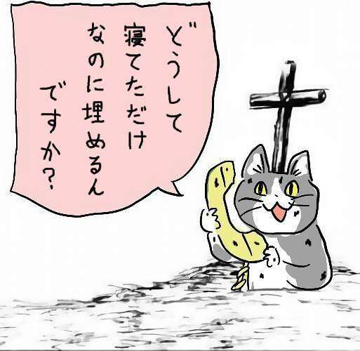 【睡眠の新常識】“休日寝だめ”は逆効果…社会的時差ボケ=酒に酔った状態 あなたに最適な睡眠時間は?