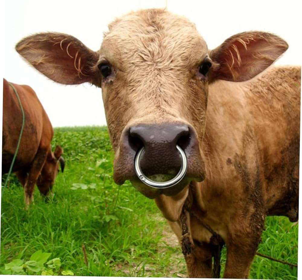 鼻ピアスってどうですか？