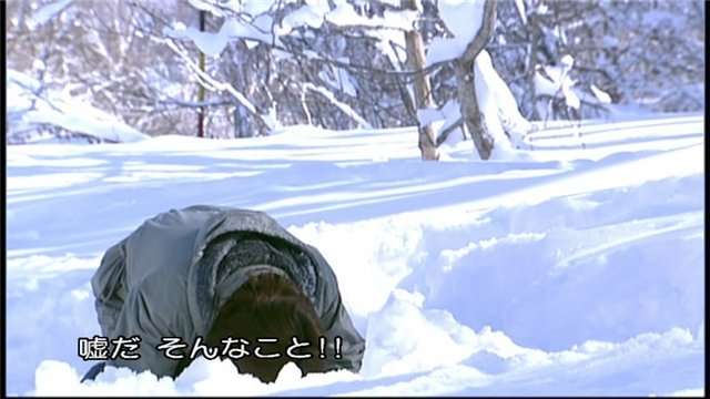 雪国の大変さ、雪国ならではの良いことを教えて欲しい