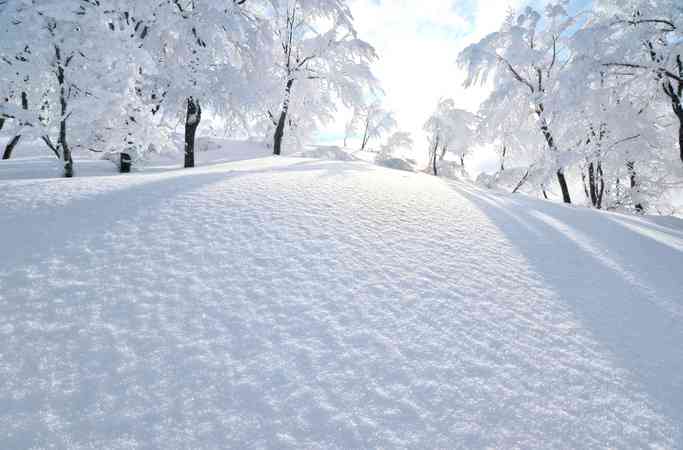 雪国の大変さ、雪国ならではの良いことを教えて欲しい