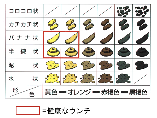 「これってダメなの？」ということ