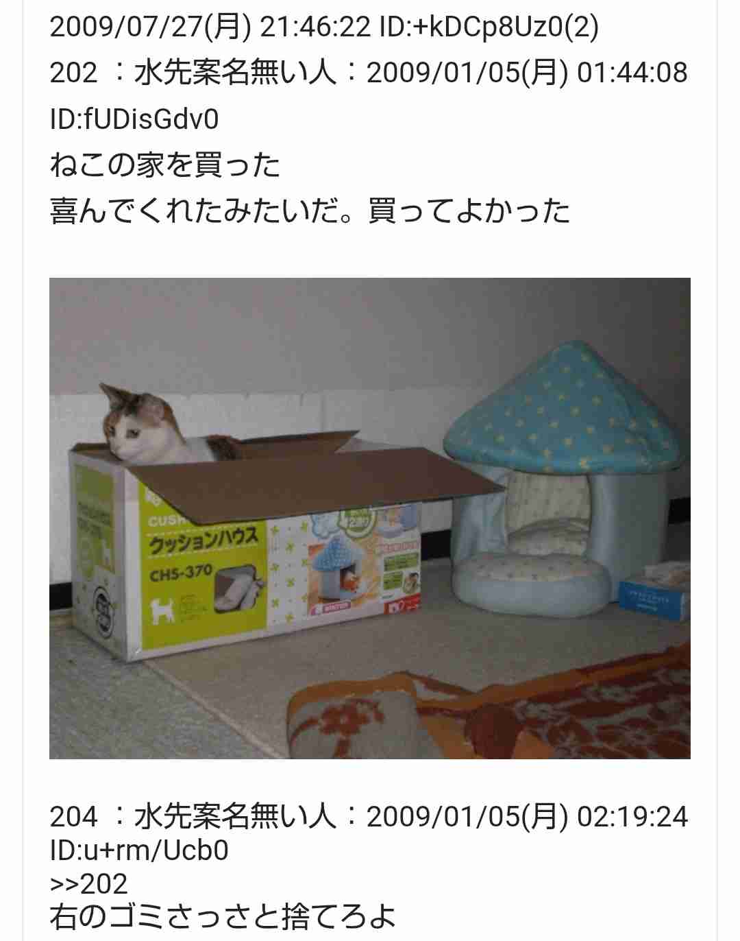 【ペット】買っても使わなかったグッズ、使ったグッズ