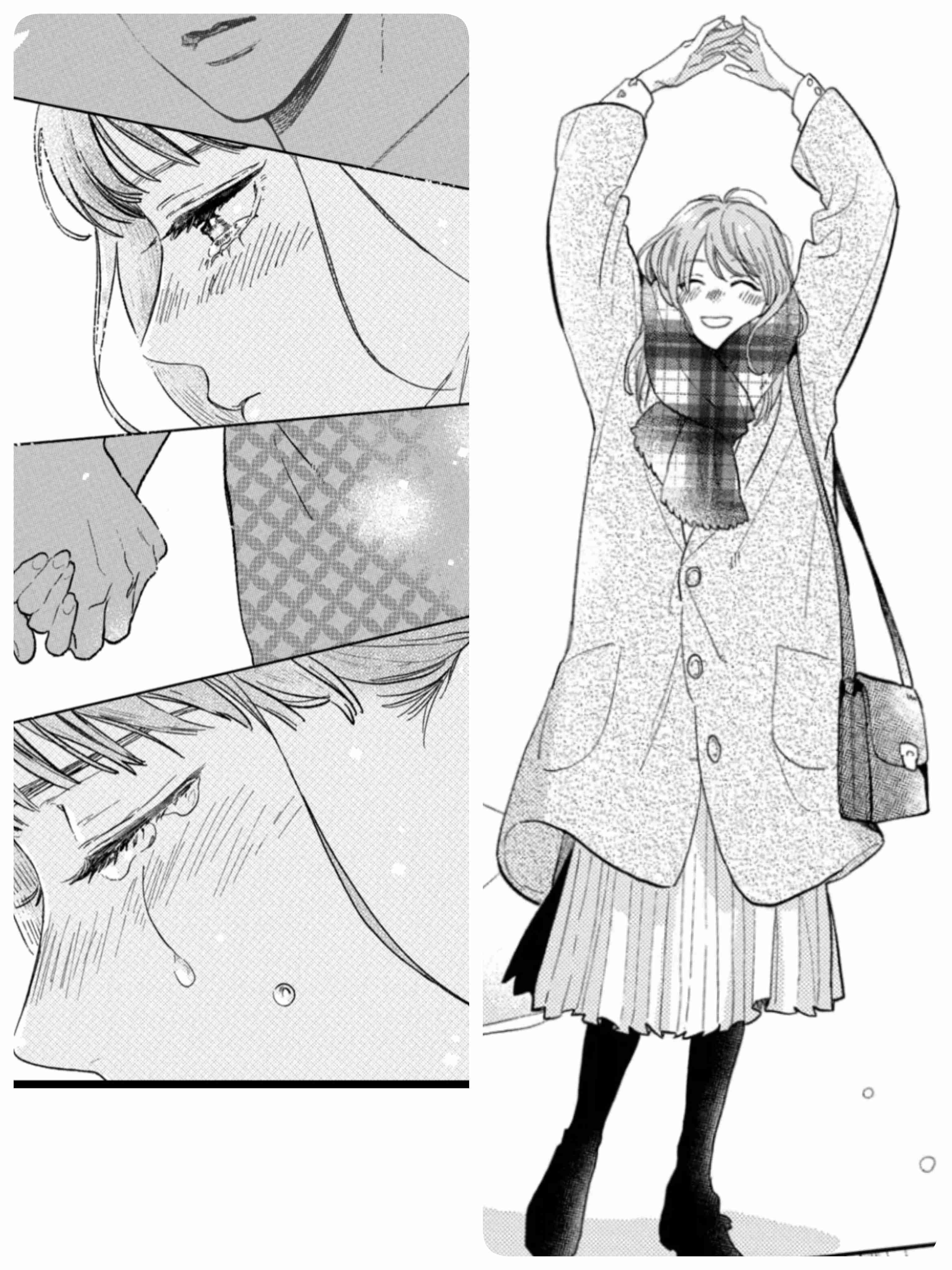【漫画・アニメ】自分が男だったら、どの女性キャラを妻又は彼女にしたい？