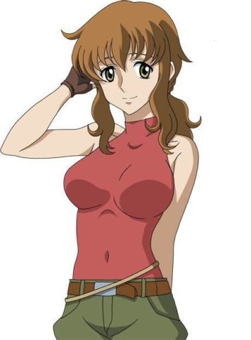 【漫画・アニメ】自分が男だったら、どの女性キャラを妻又は彼女にしたい？