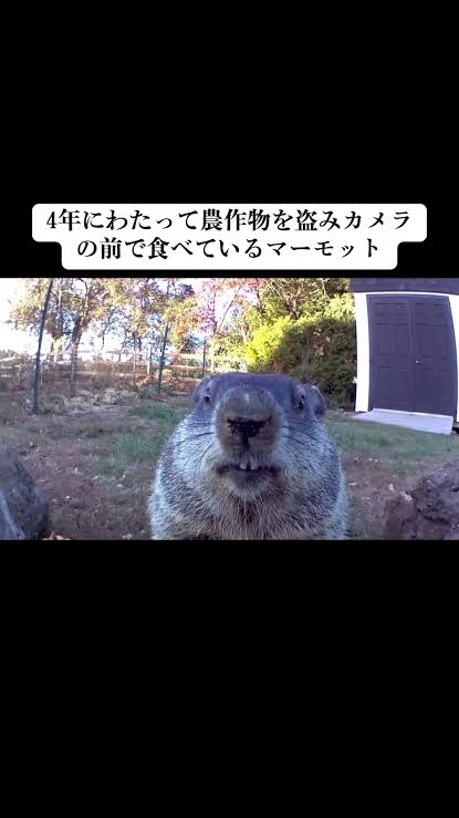 【画像】色んな写り込み Part2