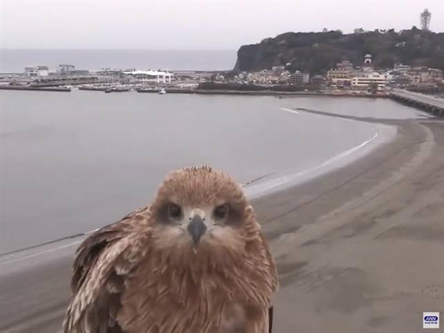 【画像】色んな写り込み Part2
