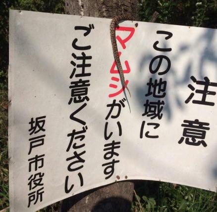 【画像】色んな写り込み Part2