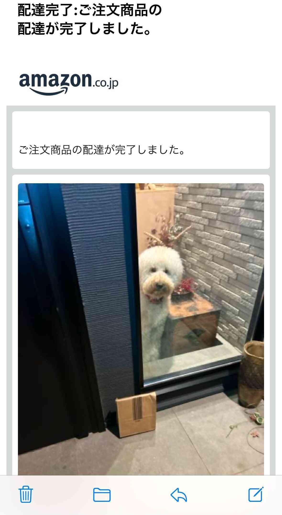 【画像】色んな写り込み Part2