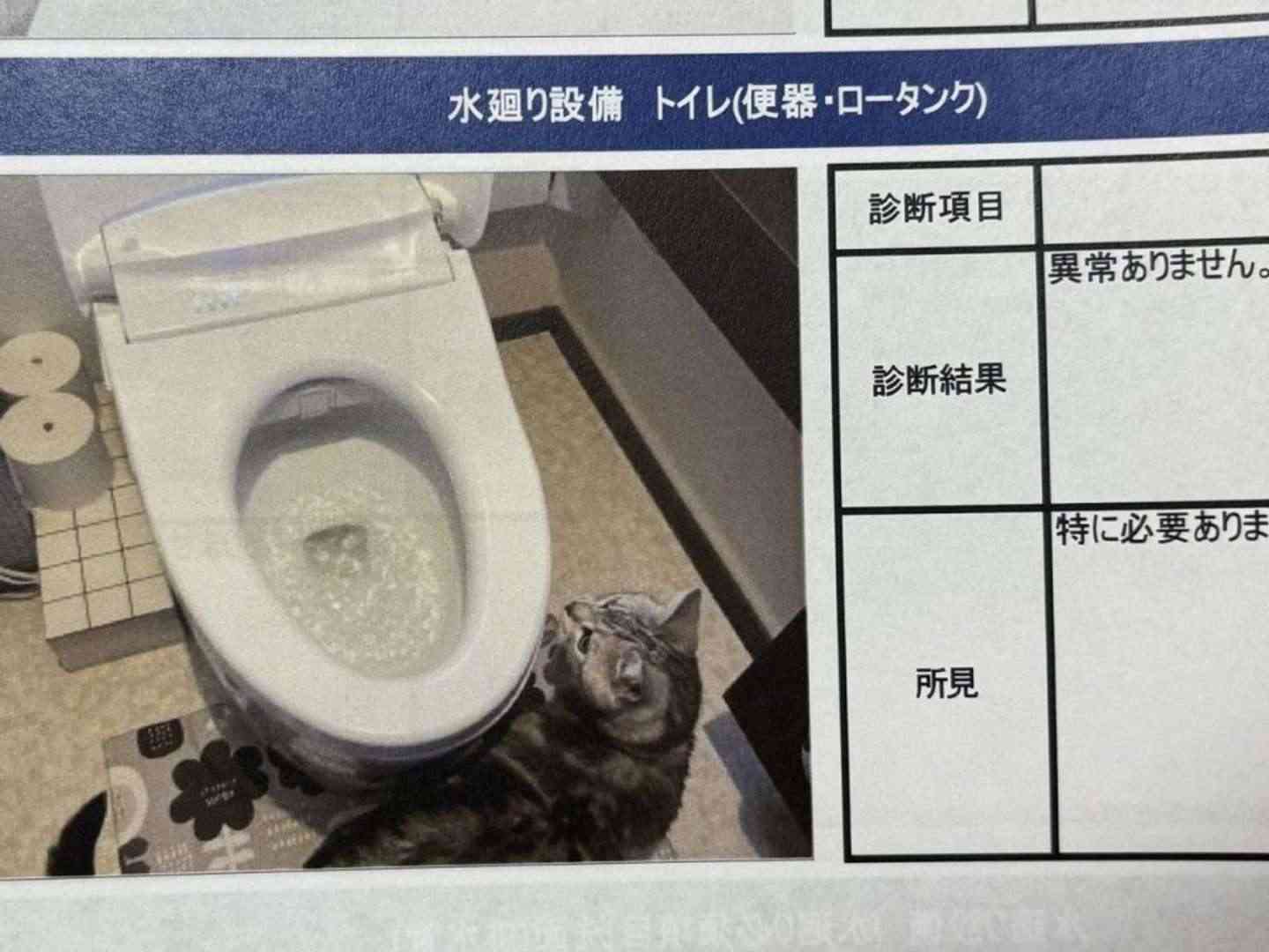 【画像】色んな写り込み Part2