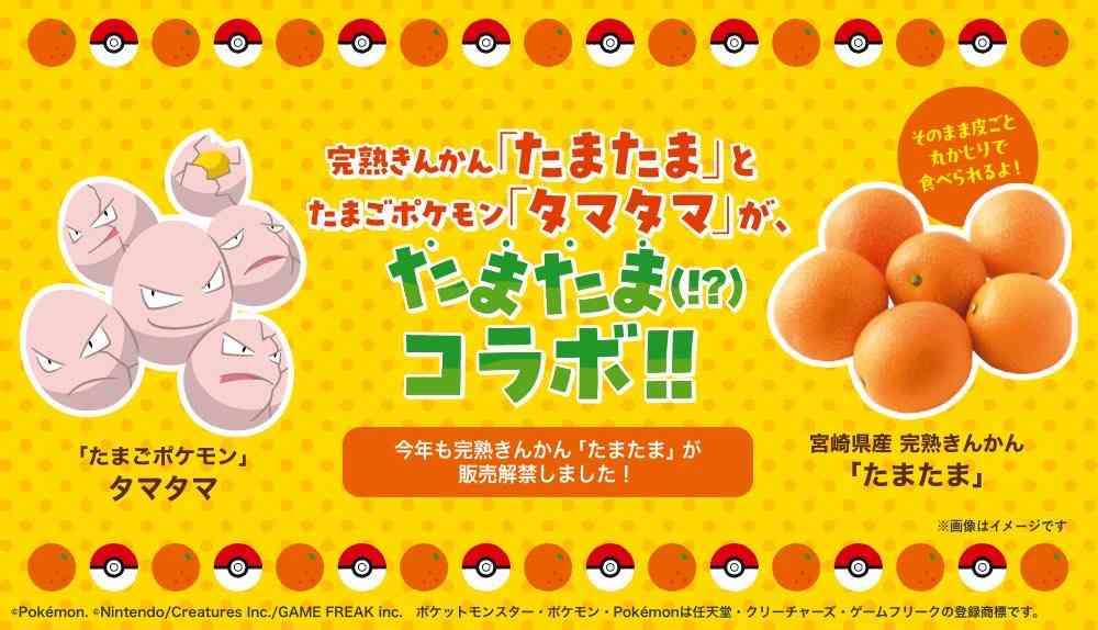 【画像】春っぽいものが欲しくなる【大歓迎】