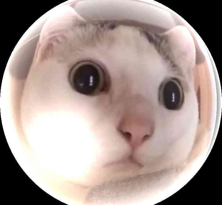 がるちゃん猫カフェ118号店開店しました♪(初めての方も大歓迎♪)