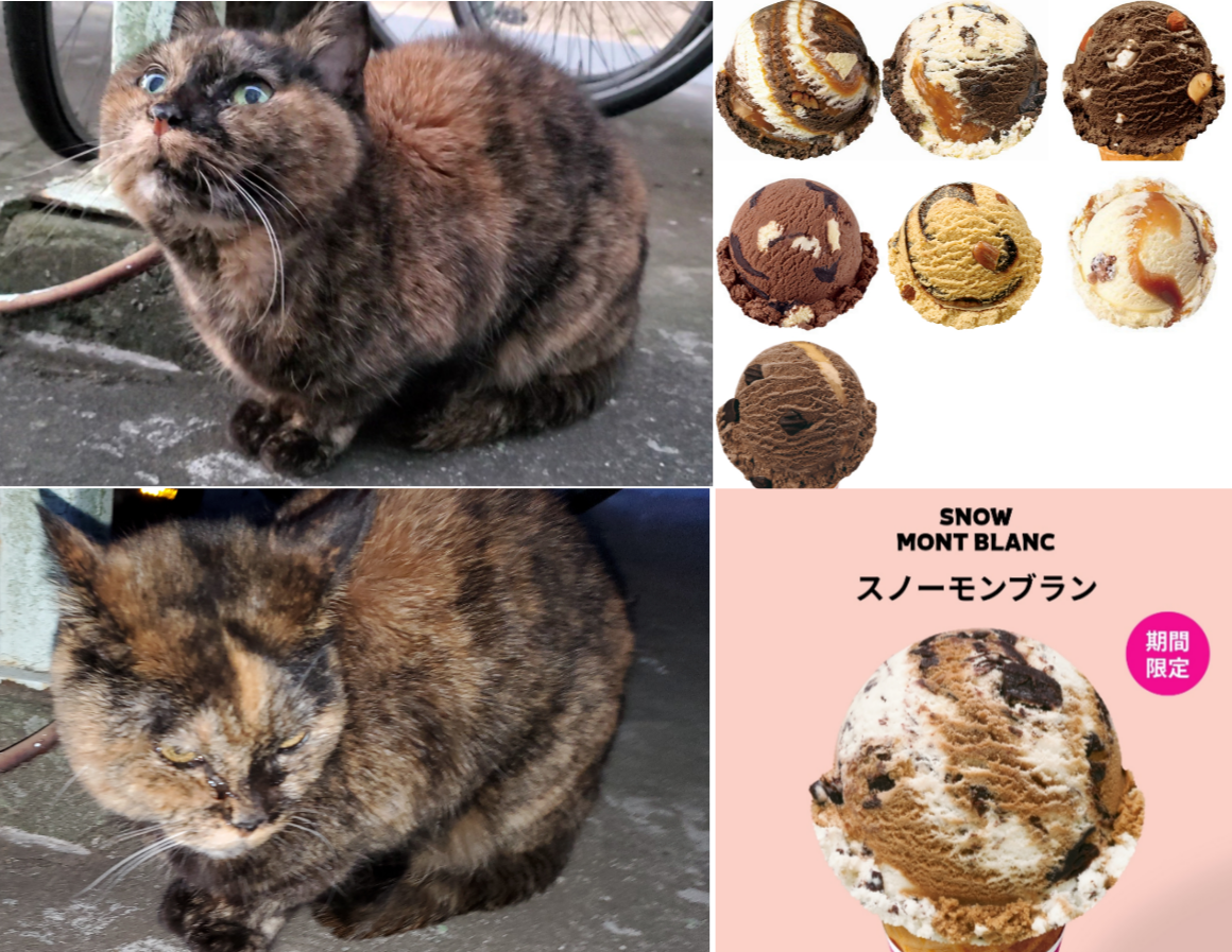 がるちゃん猫カフェ118号店開店しました♪(初めての方も大歓迎♪)