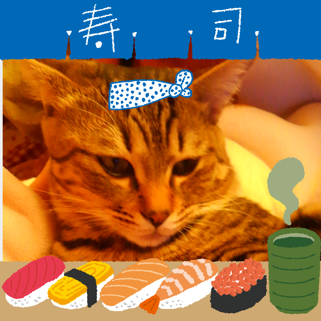 がるちゃん猫カフェ118号店開店しました♪(初めての方も大歓迎♪)