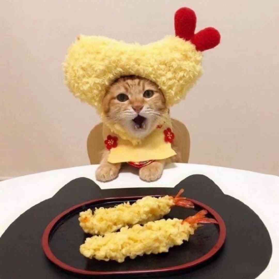 がるちゃん猫カフェ118号店開店しました♪(初めての方も大歓迎♪)