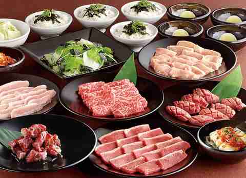 がるちゃん猫カフェ118号店開店しました♪(初めての方も大歓迎♪)