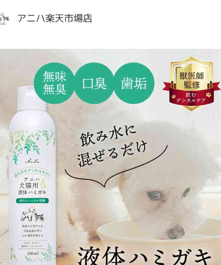 がるちゃん猫カフェ118号店開店しました♪(初めての方も大歓迎♪)