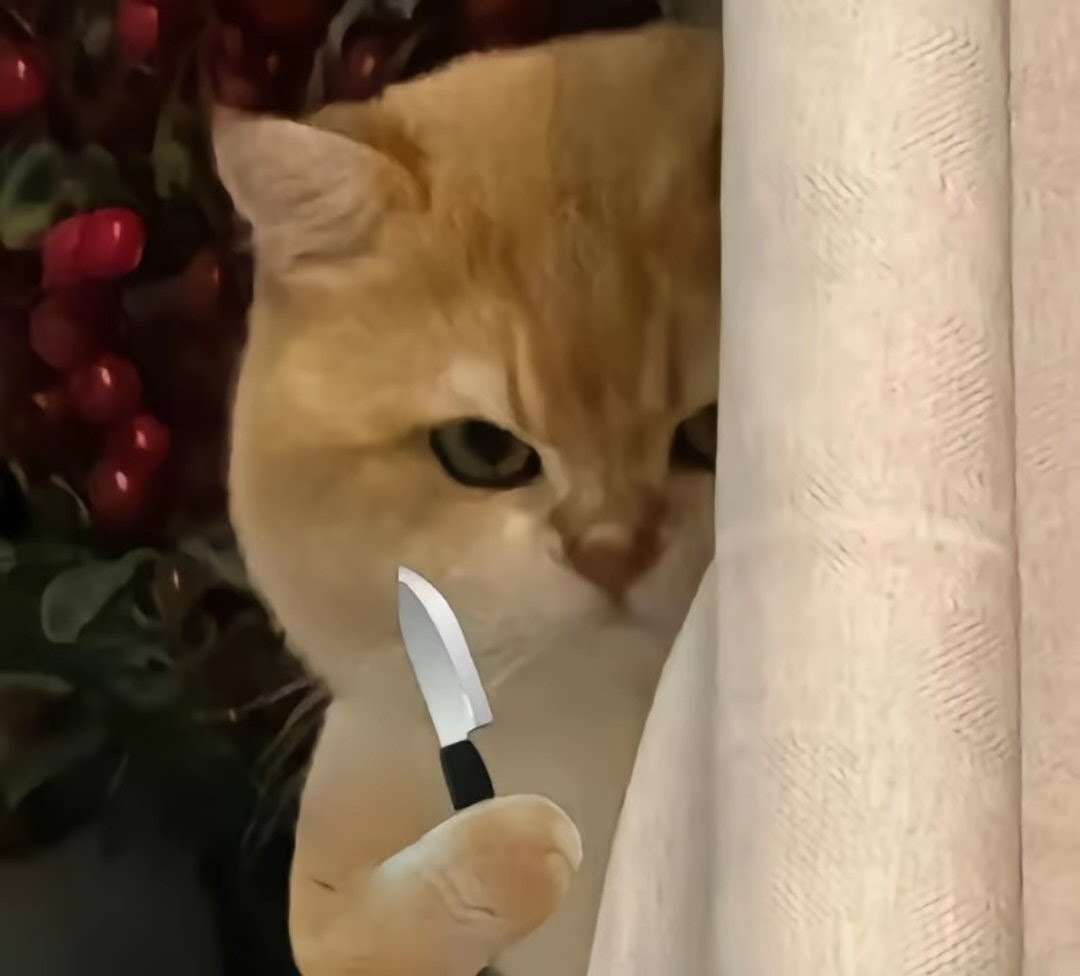 がるちゃん猫カフェ118号店開店しました♪(初めての方も大歓迎♪)