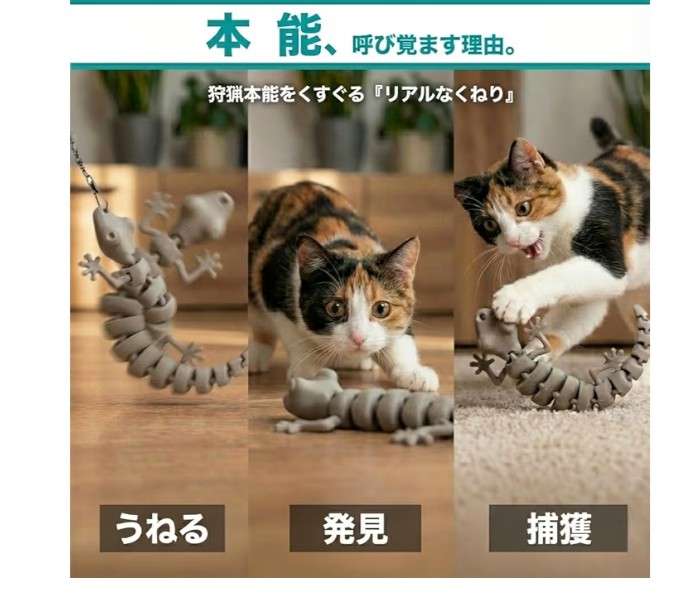 がるちゃん猫カフェ118号店開店しました♪(初めての方も大歓迎♪)