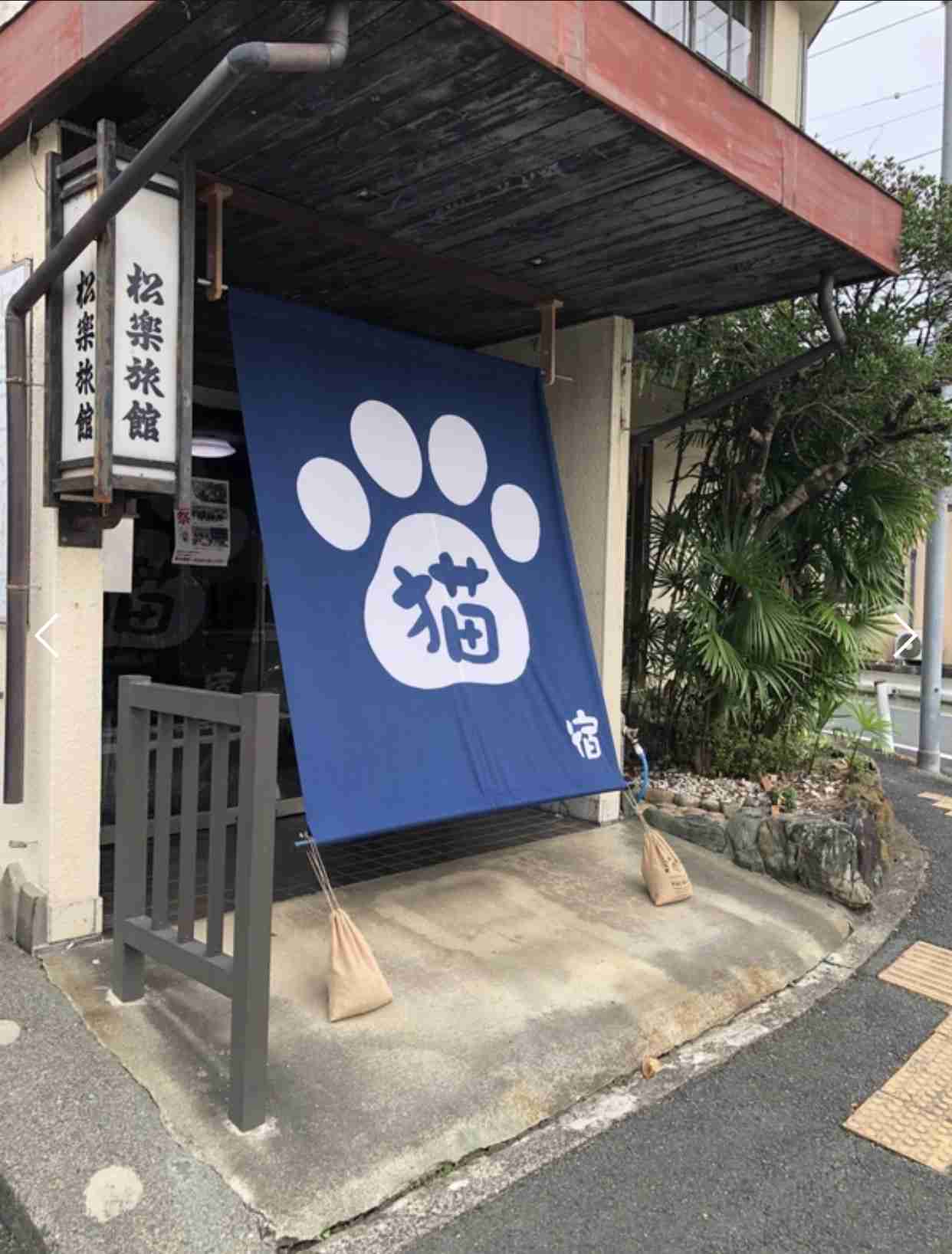 がるちゃん猫カフェ118号店開店しました♪(初めての方も大歓迎♪)