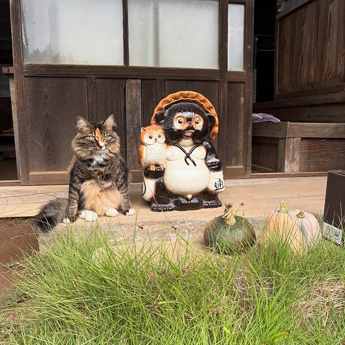 がるちゃん猫カフェ118号店開店しました♪(初めての方も大歓迎♪)