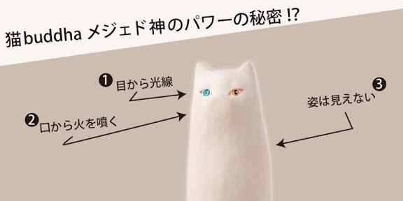 がるちゃん猫カフェ118号店開店しました♪(初めての方も大歓迎♪)