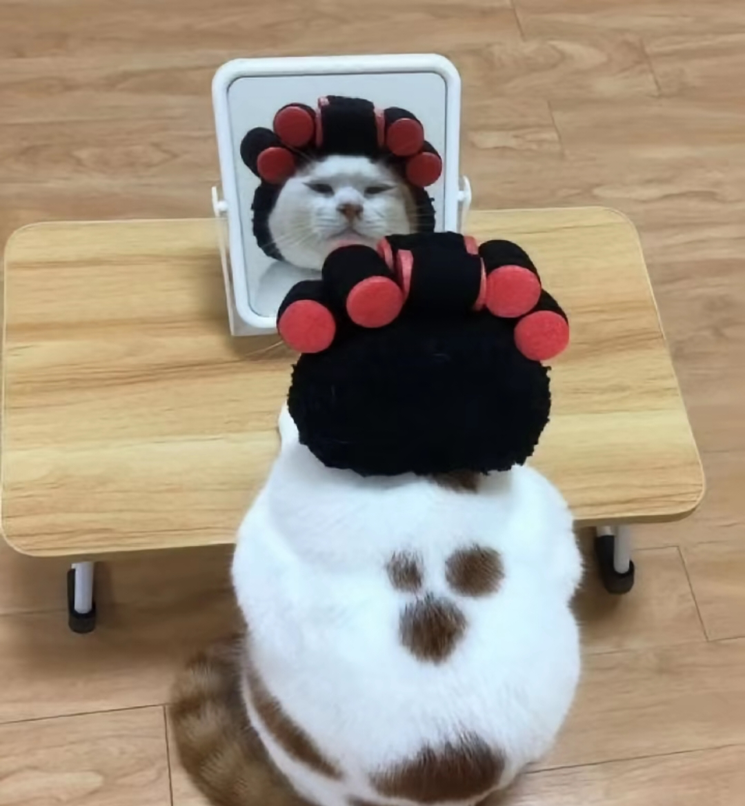 がるちゃん猫カフェ118号店開店しました♪(初めての方も大歓迎♪)