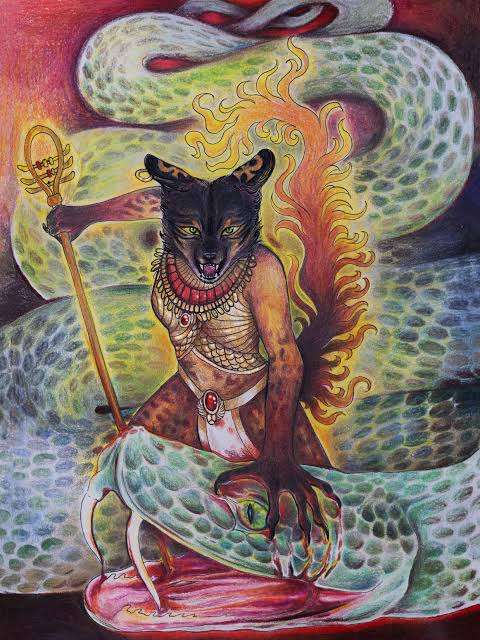 がるちゃん猫カフェ118号店開店しました♪(初めての方も大歓迎♪)