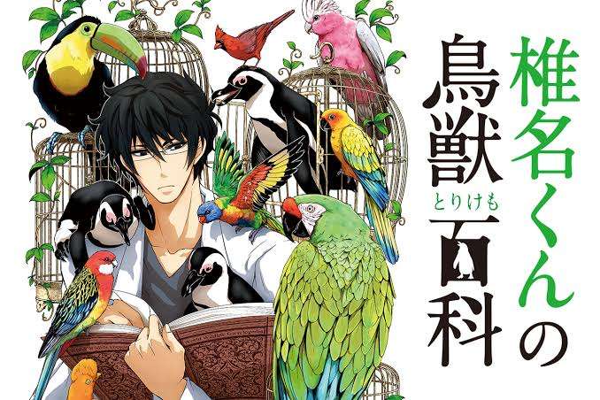 メインテーマが恋愛以外の女性向け漫画について