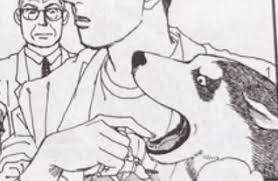 メインテーマが恋愛以外の女性向け漫画について
