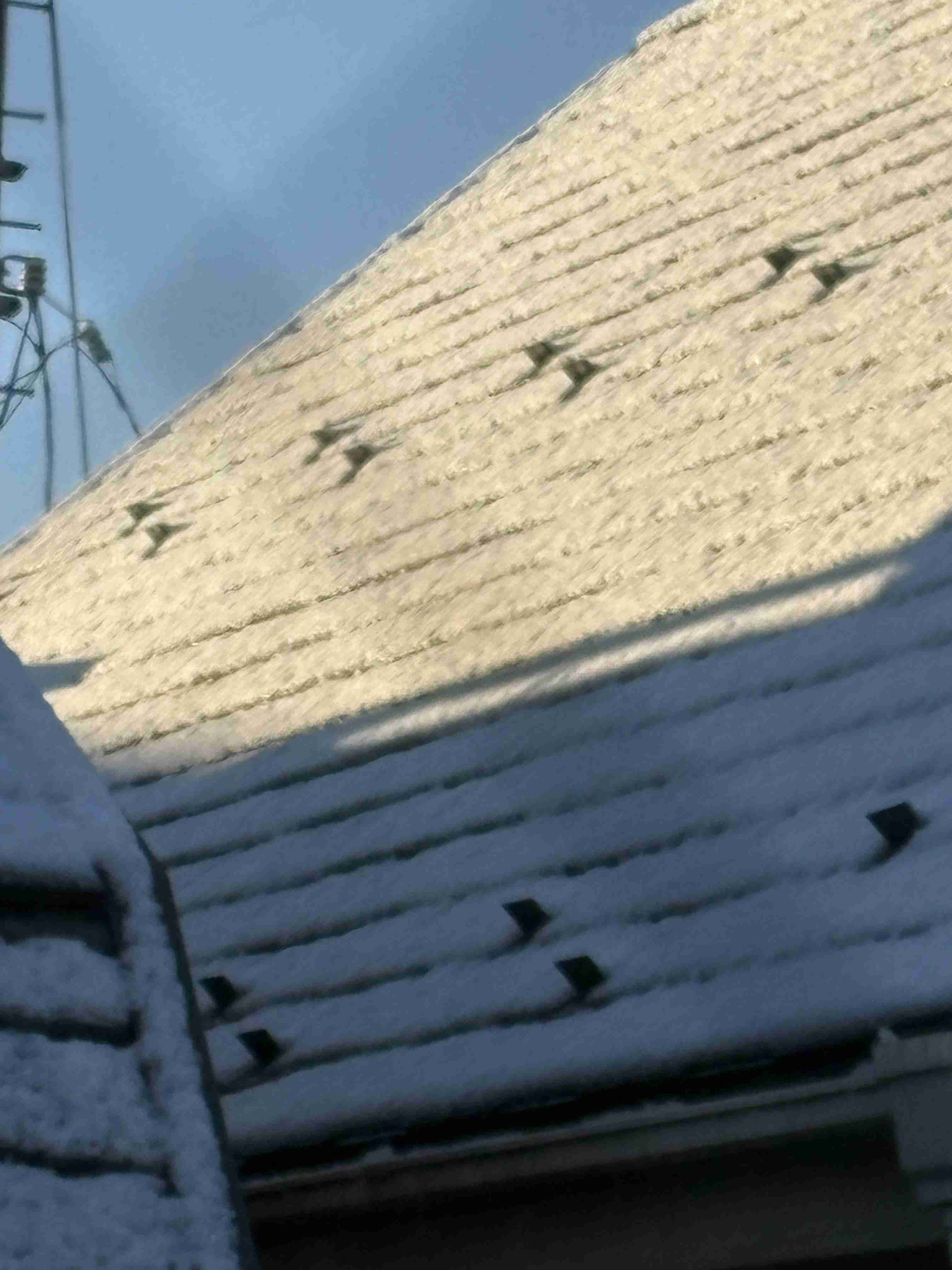 年末年始の我が家の情景を貼るトピpart4