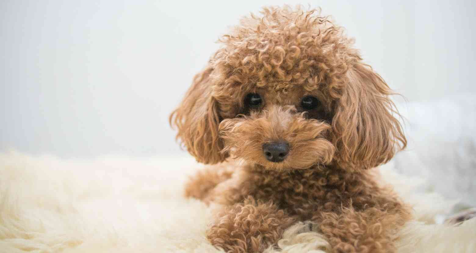 独身の仕事のモチベ