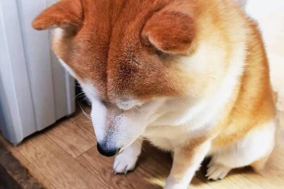 ガルちゃんで無駄に傷ついたことpart13