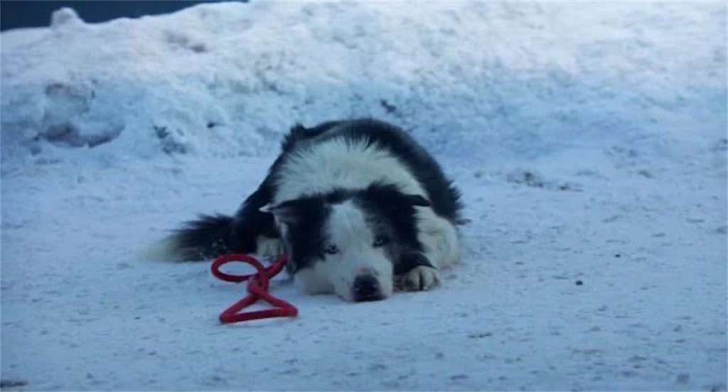 人物が居ないワンシーンの映画クイズ