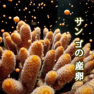 産前産後に人から言われてムカつく通り越して殺意湧いた言葉part3