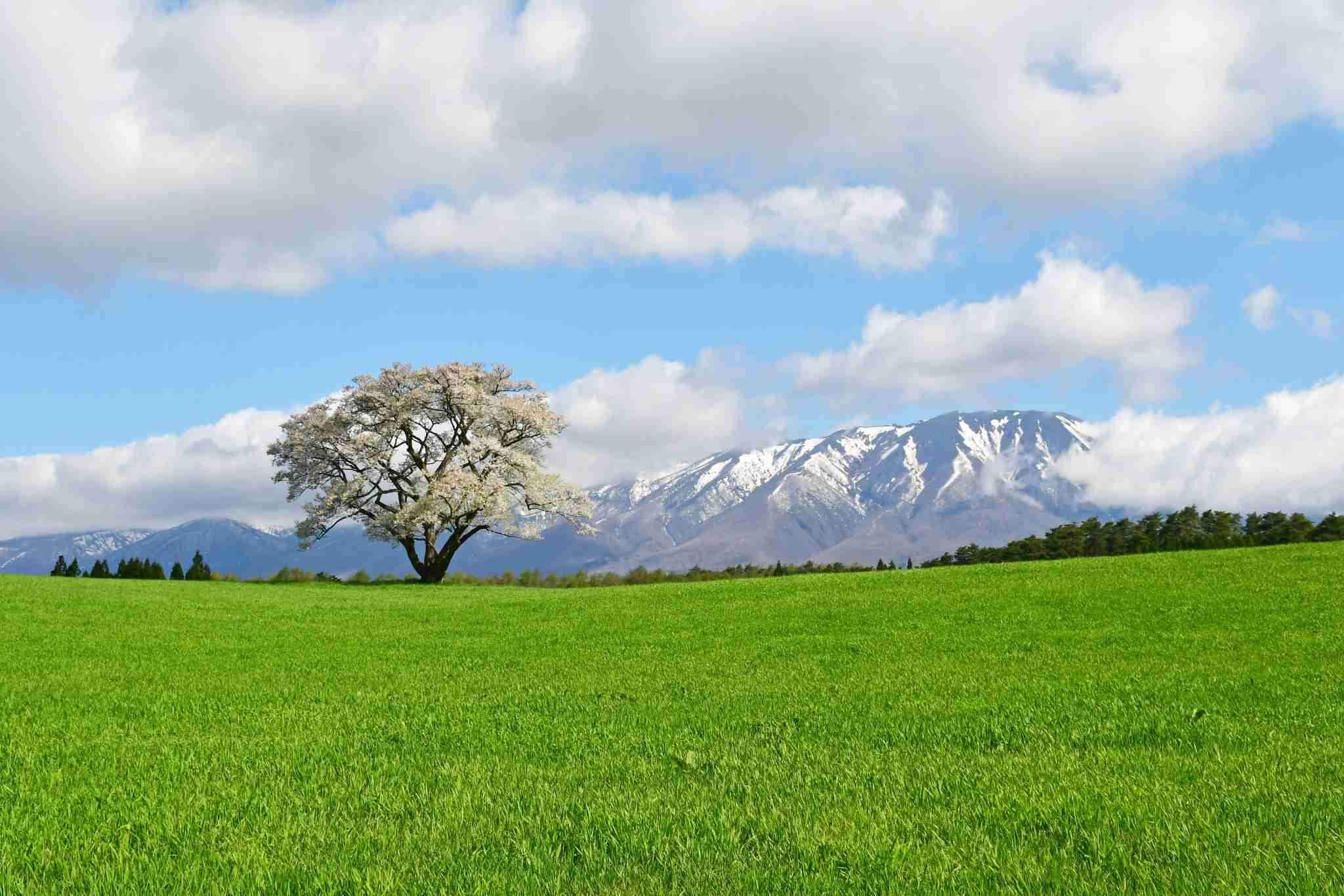 【朝ドラ】どんど晴れ再放送見てる方🌸 Part4