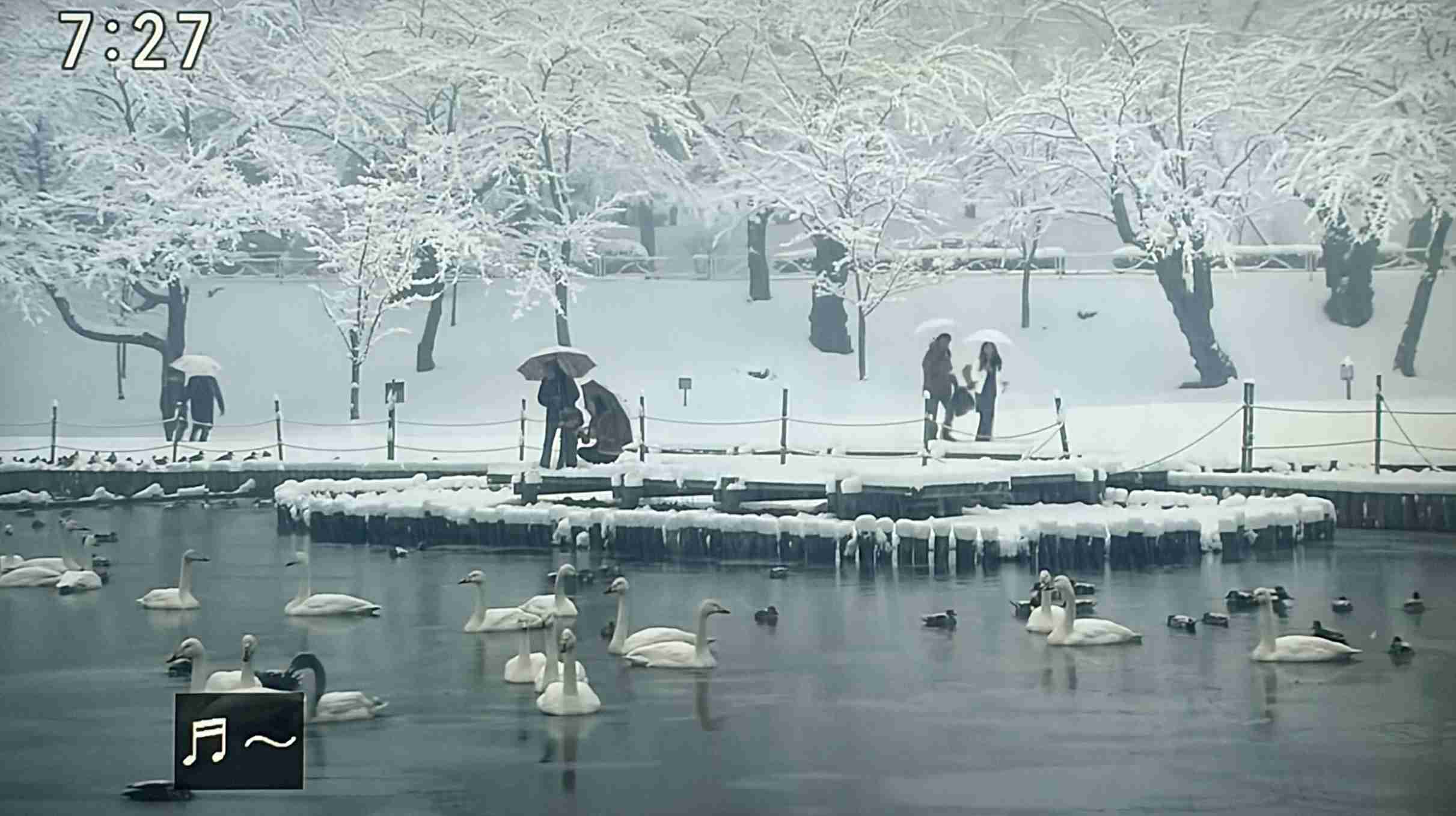 【朝ドラ】どんど晴れ再放送見てる方🌸 Part4