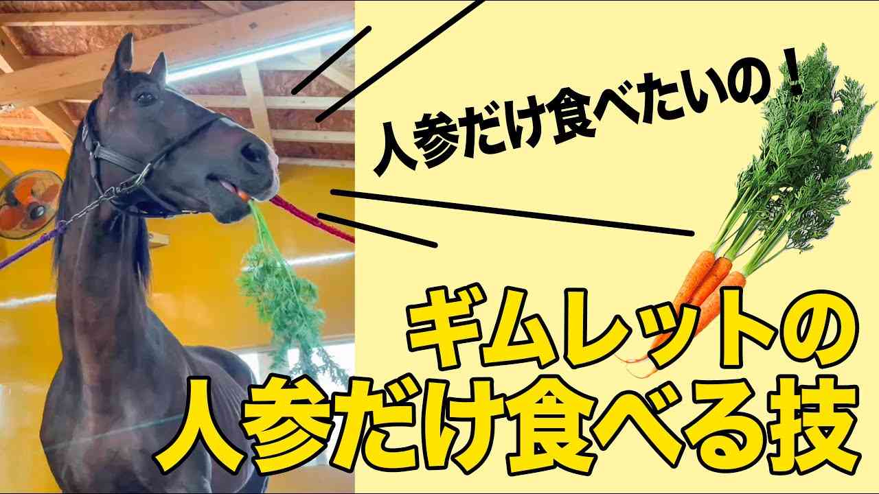 なるべくゴミを出さないようにしてる人