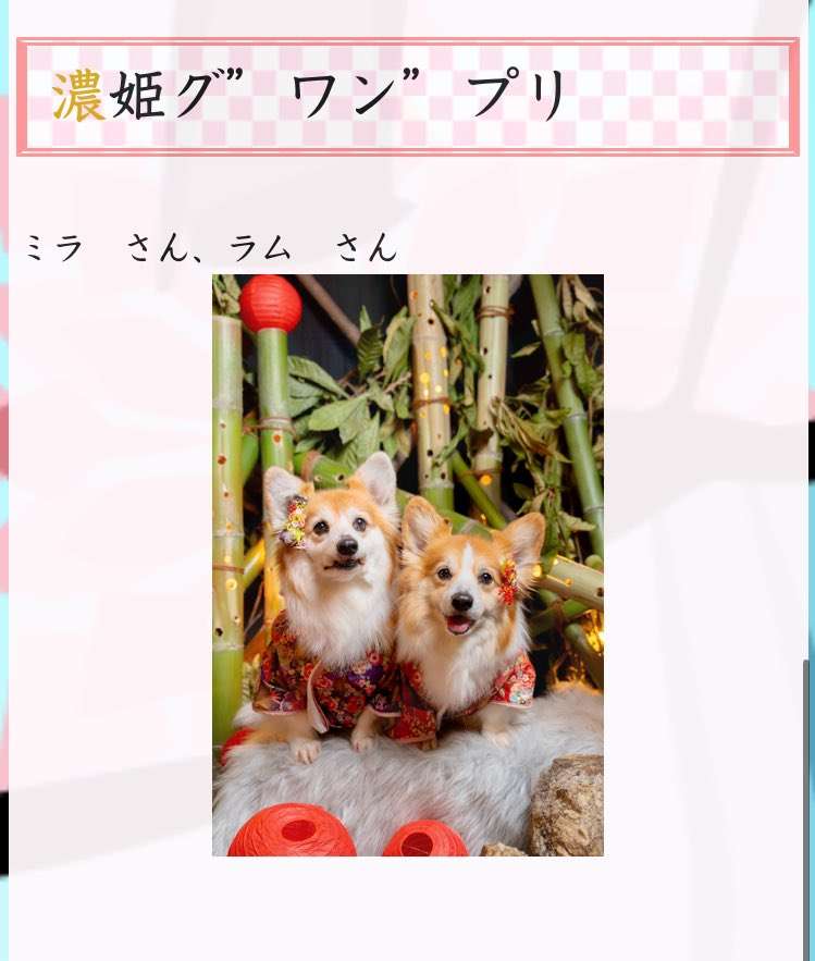 青学大の「ミス・ミスター青山コンテスト」が「青山コンテスト」に名称変更「ルッキズムに対する問題意識の高まり」田中みな実や滝川クリステルら輩出