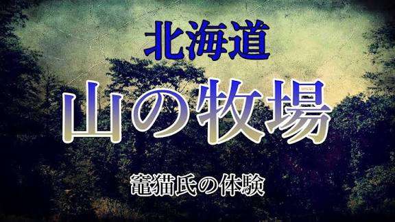 未確認生物の名前を書くと､誰かが目撃証言をしてくれるトピ