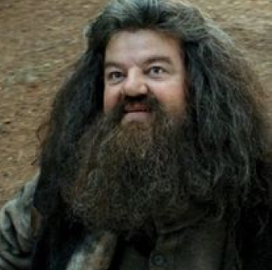 集え！髪の老化に悩む者たちよ！