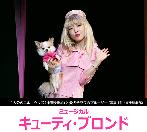 村田充　元妻・神田沙也加さんの愛犬と「いつも一緒に寝ている」愛くるしい姿を公開…引き取って生活